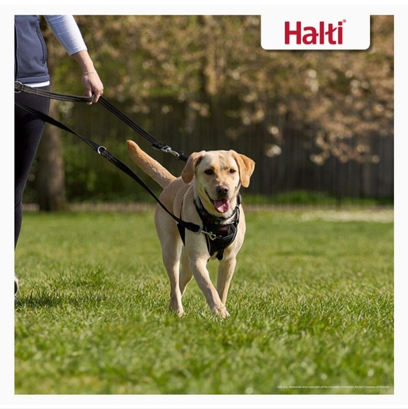 HALTI HARNESS MEDIUM TO LARGE - Picture 3 of 9